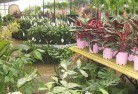 Dartnallplant-nursery-7.jpg; ?>
